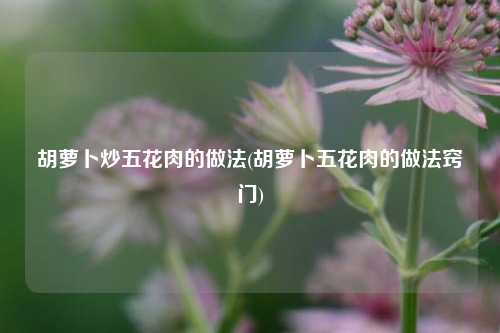 胡萝卜炒五花肉的做法(胡萝卜五花肉的做法窍门)