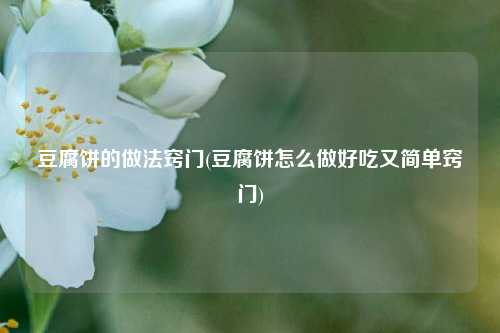 豆腐饼的做法窍门(豆腐饼怎么做好吃又简单窍门)