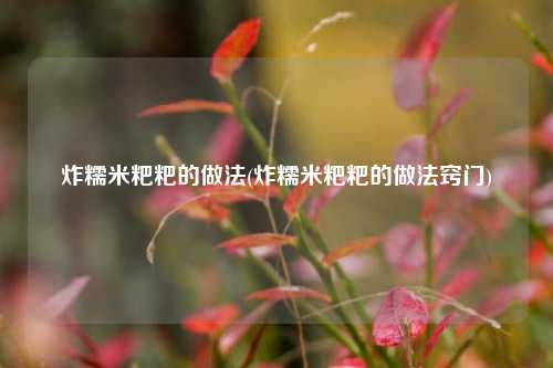 炸糯米粑粑的做法(炸糯米粑粑的做法窍门)