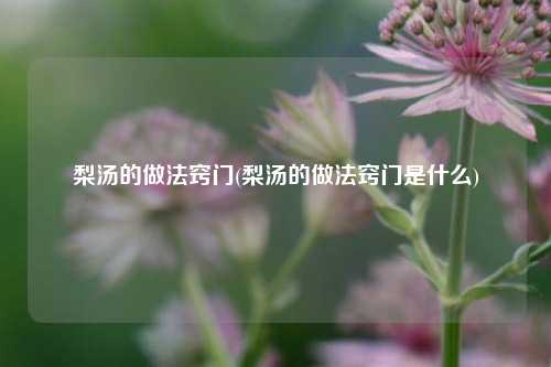 梨汤的做法窍门(梨汤的做法窍门是什么)