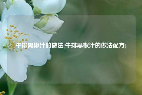 牛排黑椒汁的做法(牛排黑椒汁的做法配方)