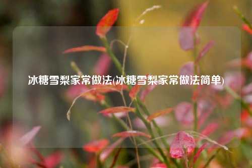冰糖雪梨家常做法(冰糖雪梨家常做法简单)