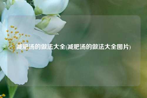 减肥汤的做法大全(减肥汤的做法大全图片)