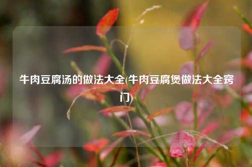牛肉豆腐汤的做法大全(牛肉豆腐煲做法大全窍门)