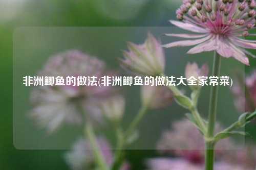 非洲鲫鱼的做法(非洲鲫鱼的做法大全家常菜)