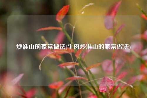 炒淮山的家常做法(牛肉炒淮山的家常做法)