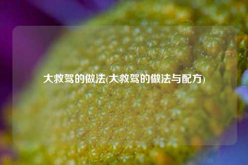 大救驾的做法(大救驾的做法与配方)