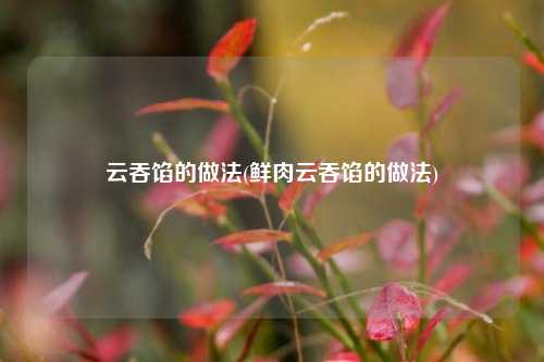 云吞馅的做法(鲜肉云吞馅的做法)
