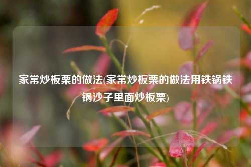 家常炒板栗的做法(家常炒板栗的做法用铁锅铁锅沙子里面炒板栗)