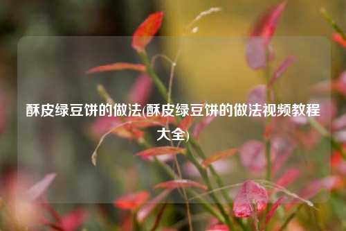 酥皮绿豆饼的做法(酥皮绿豆饼的做法视频教程大全)