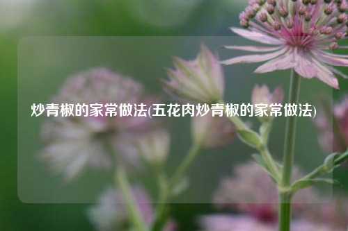 炒青椒的家常做法(五花肉炒青椒的家常做法)