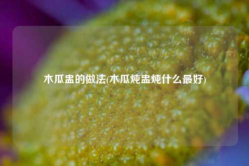 木瓜盅的做法(木瓜炖盅炖什么最好)